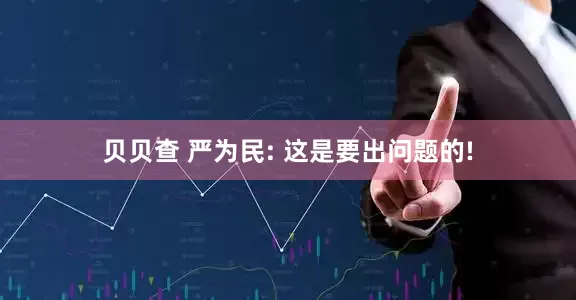 贝贝查 严为民: 这是要出问题的!