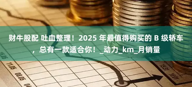 财牛股配 吐血整理！2025 年最值得购买的 B 级轿车，总有一款适合你！_动力_km_月销量