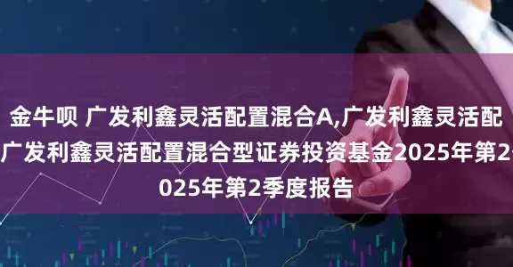 金牛呗 广发利鑫灵活配置混合A,广发利鑫灵活配置混合C 广发利鑫灵活配置混合型证券投资基金2025年第2季度报告